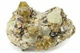 Yellow Andradite-Grossular Garnet Cluster with Prehnite - Mali #242496-1